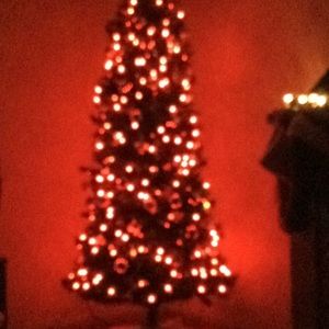 Meet your Posher, Carol